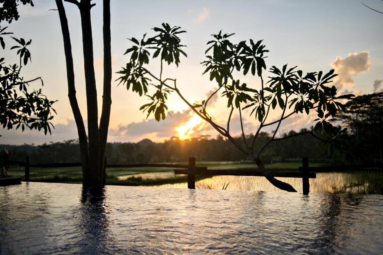 Hotel Omah Apik à Ubud Extérieur photo