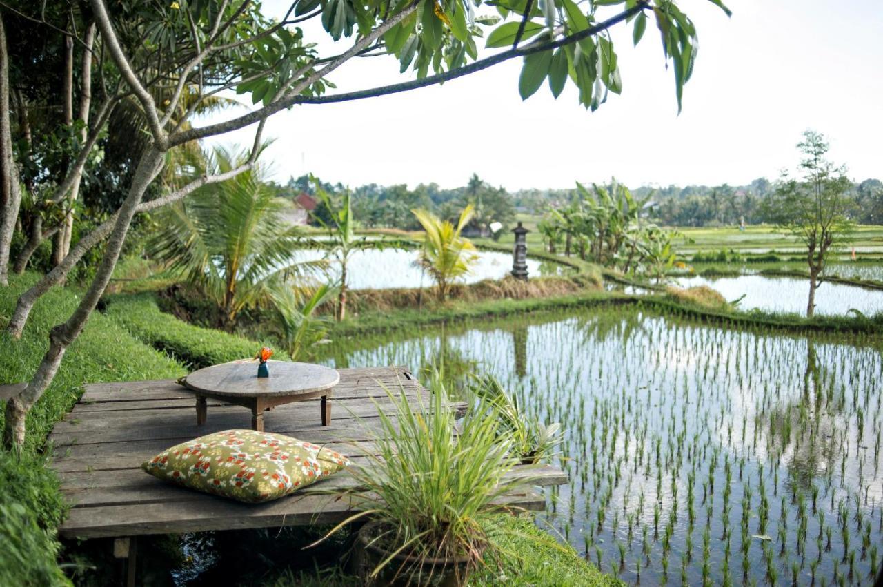 Hotel Omah Apik à Ubud Extérieur photo