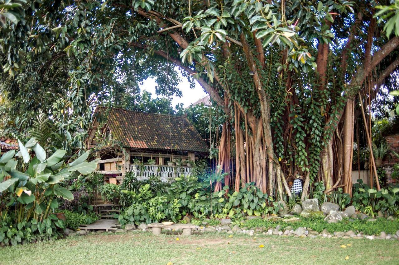 Hotel Omah Apik à Ubud Extérieur photo