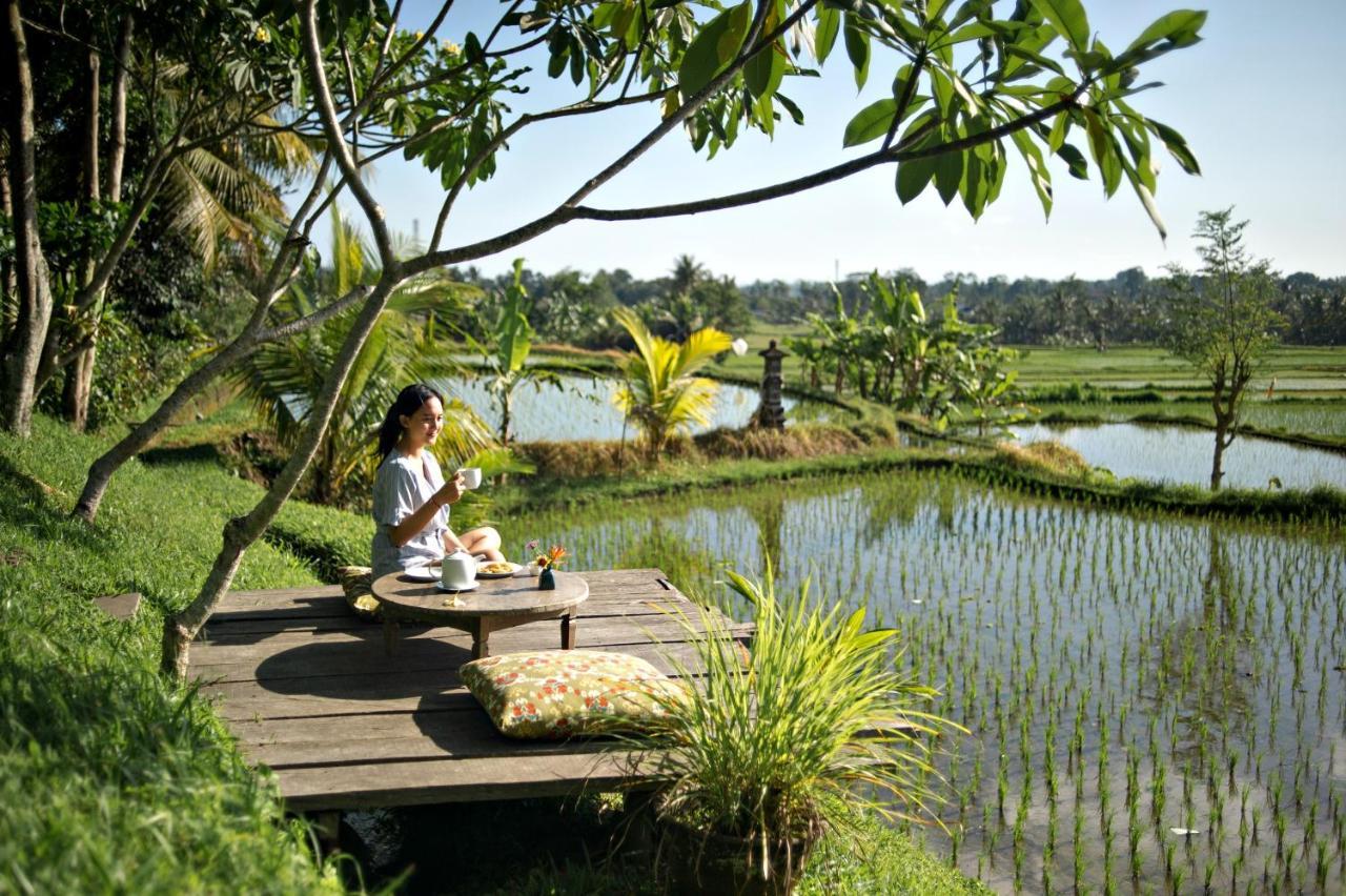 Hotel Omah Apik à Ubud Extérieur photo